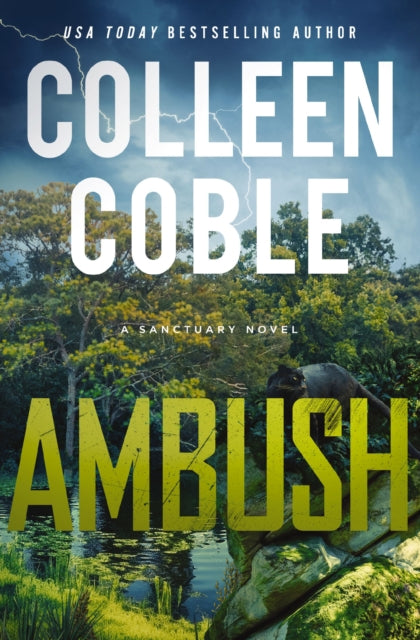 Book cover of: Ambush