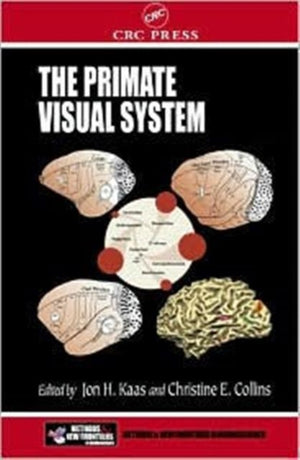 The Primate Visual System