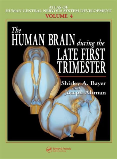 Book cover of: Human Brain During the Late First Trimester. By: Shirley A. Bayer