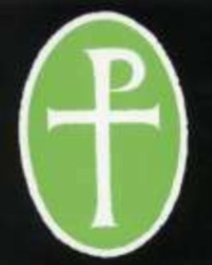 Arthurian Period Sources Vol 6 Studies in Dark-Age History