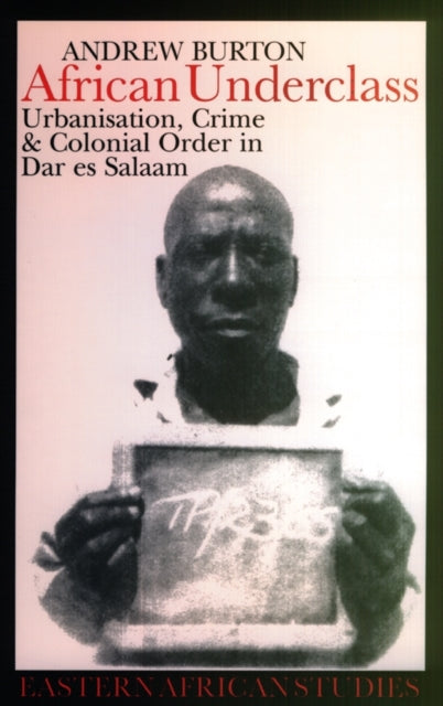 Book cover of: African Underclass