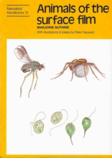 Book cover of: Animals of the surface film. By: Marjorie Guthrie