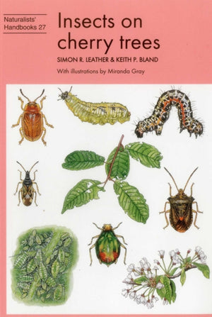 Insects on cherry trees