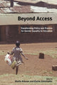 Book cover of: Beyond Access