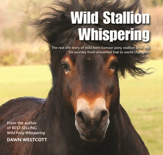 Book cover of: Wild Stallion Whispering. By: Dawn Westcott