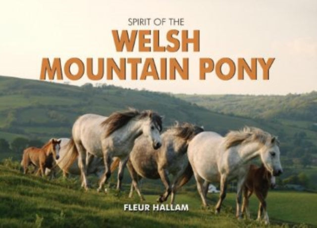 Book cover of: Spirit of the Welsh Mountain Pony. By: Fleur Hallam