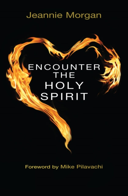Book cover of: Encounter the Holy Spirit. By: Jeannie Morgan