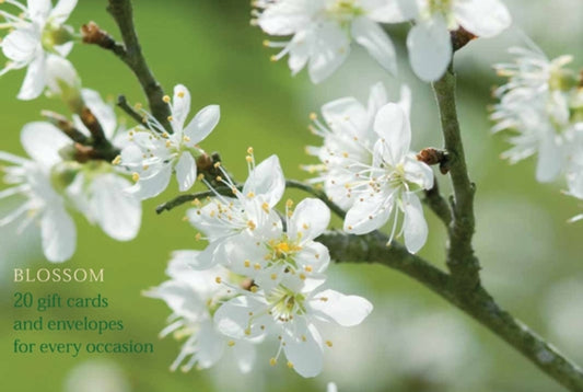 Book cover of: Blossom. By: Peony Press
