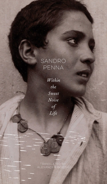Book cover of: Within the Sweet Noise of Life. By: Sandro Penna