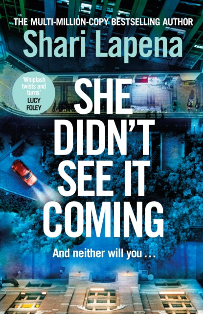 She Didn't See It Coming 9780857506191 Shari Lapena