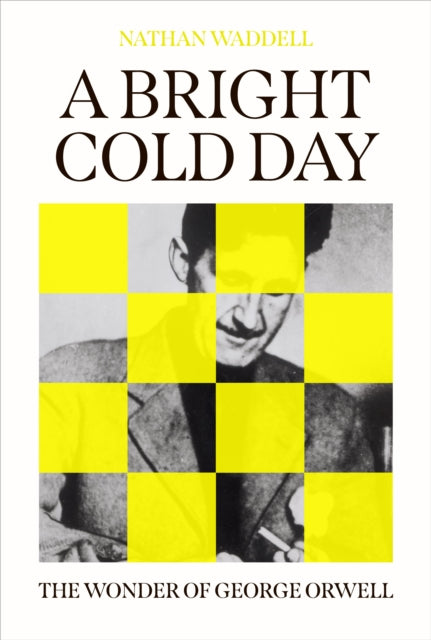 Book cover of: Bright Cold Day