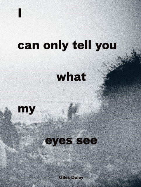 Book cover of: I Can Only Tell You What My Eyes See