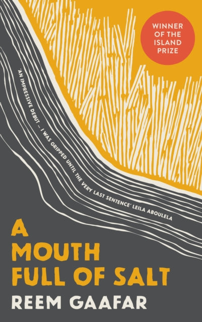 Mouth Full of Salt 9780863567728 Reem Gaafar