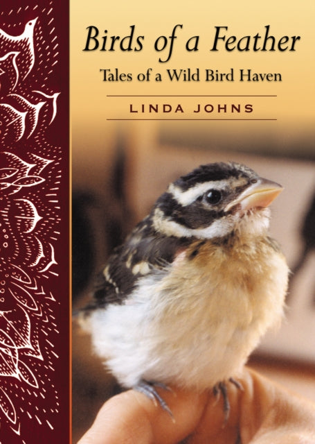Book cover of: Birds of a Feather. By: Linda Johns