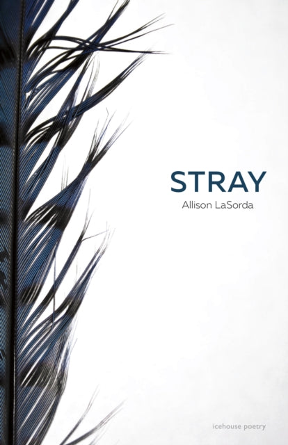 Book cover of: Stray. By: Allison LaSorda