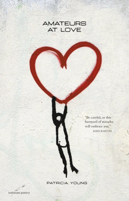 Book cover of: Amateurs at Love. By: Patricia Young