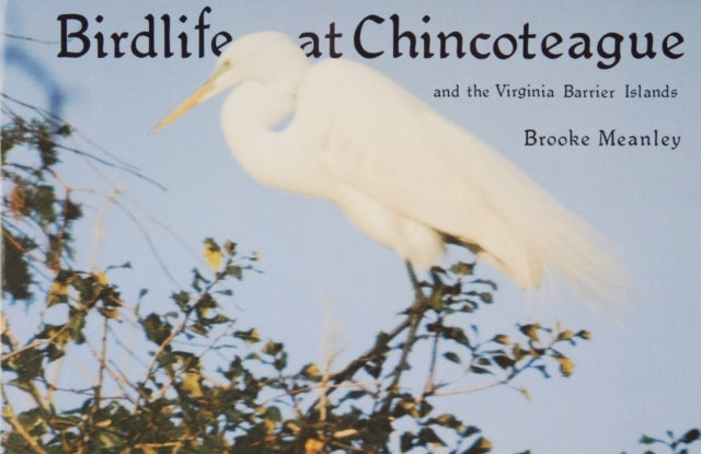 Book cover of: Birdlife at Chincoteague and the Virginia Barrier Islands