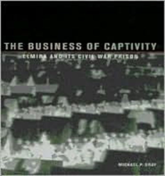 Book cover of: Business of Captivity in the Chemung Valley
