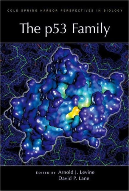 Book cover of: P53 Family. By: Arnold J. Levine
