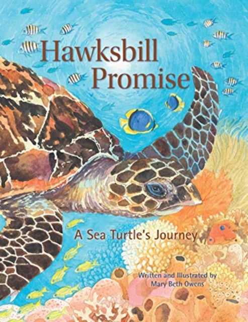 Book cover of: Hawksbill Promise. By: Mary Beth Owens