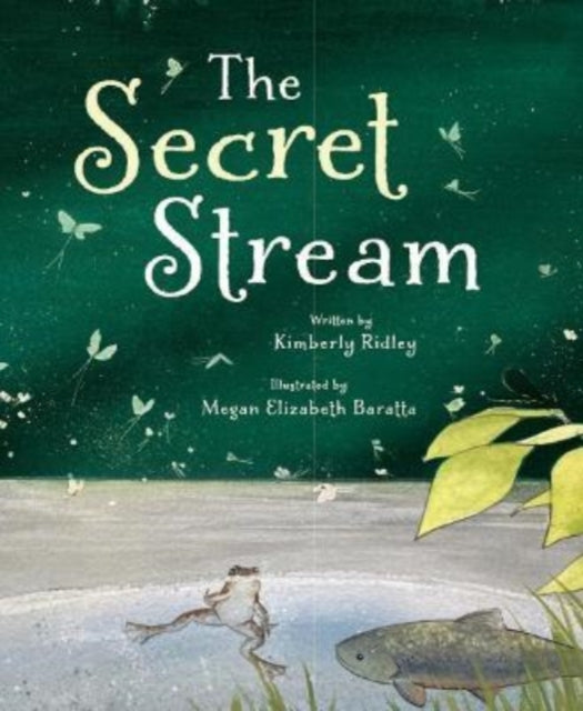 Book cover of: Secret Stream. By: Kimberly Ridley