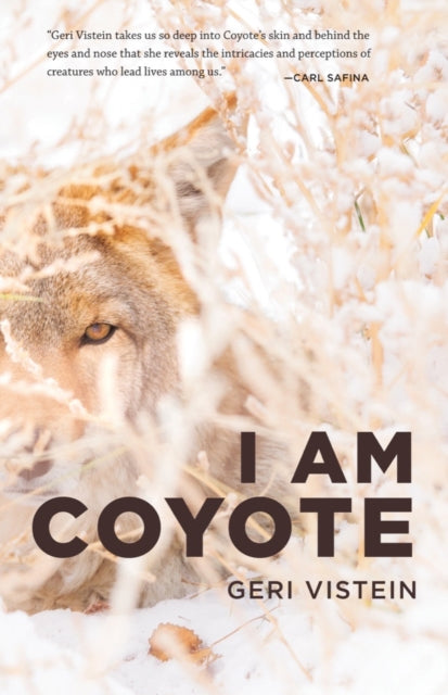 Book cover of: I Am Coyote. By: Geri Vistein