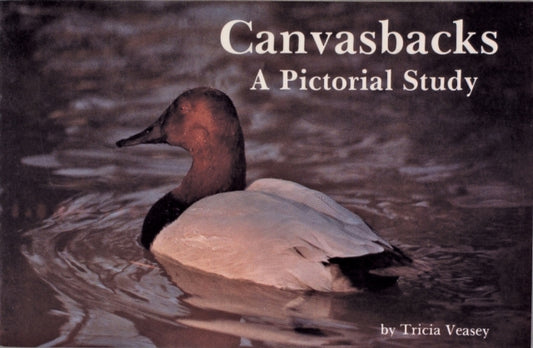 Book cover of: Canvasbacks. By: Tricia Veasey