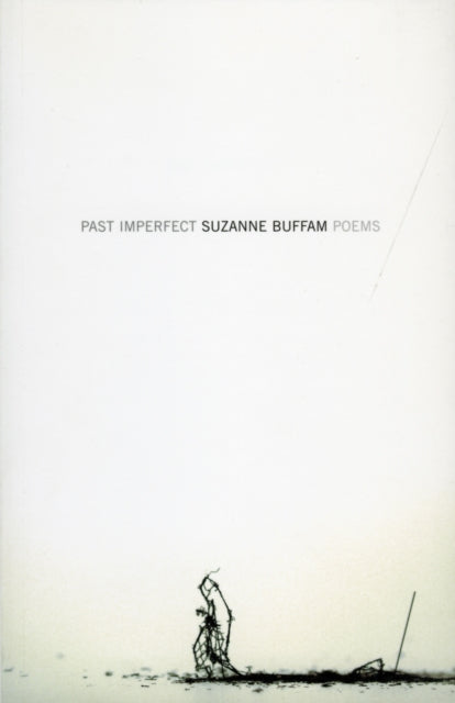 Book cover of: Past Imperfect