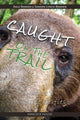 Book cover of: Caught on the Trail. By: Bakken Dale