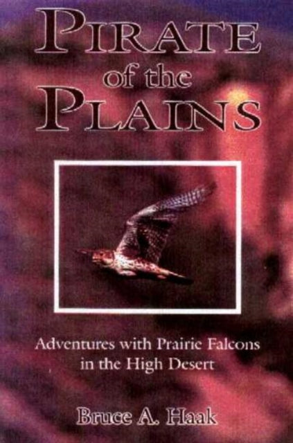 Book cover of: Pirate of the Plains