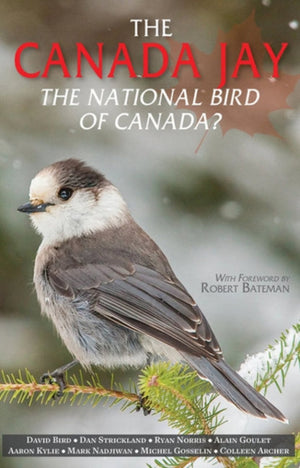 The Canada Jay