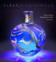 Book cover of: Clearly Indigenous. By: Letitia Chambers