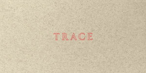 Jenny Holzer: Trace