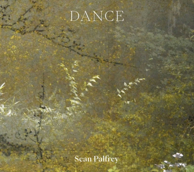 Book cover of: Sean Palfrey: Dance
