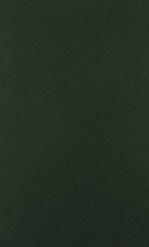 Two Cartularies of Abingdon Abbey, Vol I