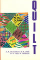 Book cover of: Quilt. By: Finola Moorhead