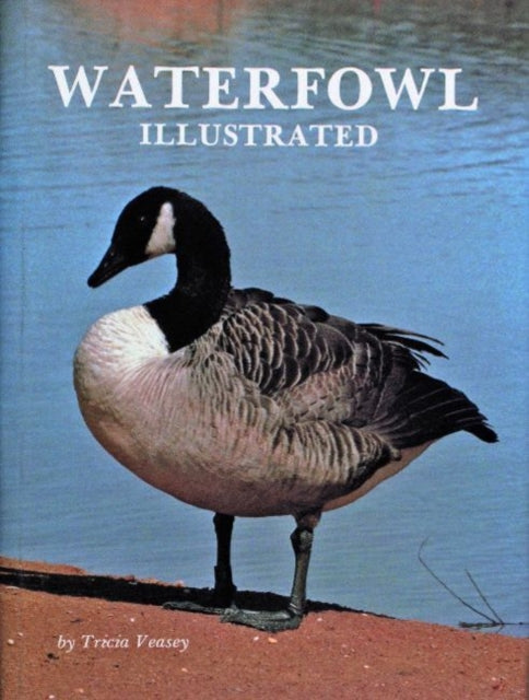 Book cover of: Waterfowl Illustrated