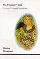 Book cover of: Pregnant Virgin