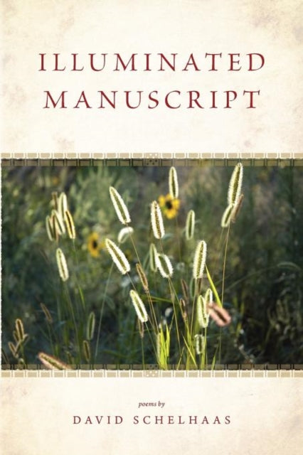 Book cover of: Illuminated Manuscript. By: David Schelhaas
