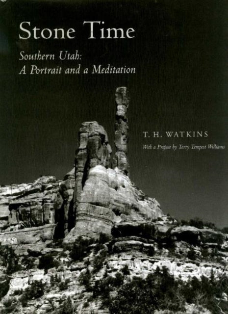 Book cover of: Stone Time