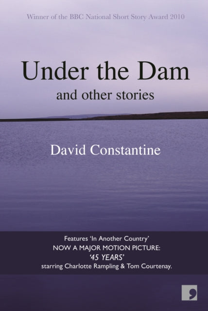 Book cover of: Under the Dam. By: David Constantine