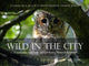 Book cover of: Wild in the City. By: Andrew Wilson