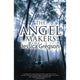 Book cover of: Angel Makers. By: Jessica Gregson