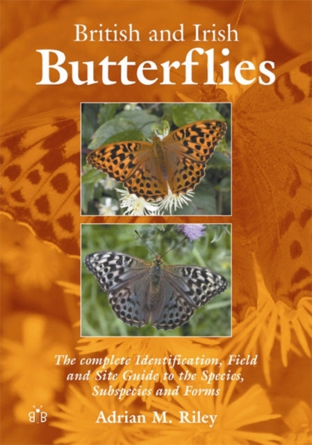 Book cover of: British and Irish Butterflies. By: Adrian M. Riley
