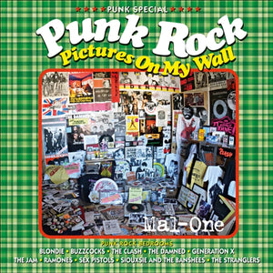 Punk Rock Pictures On My Wall