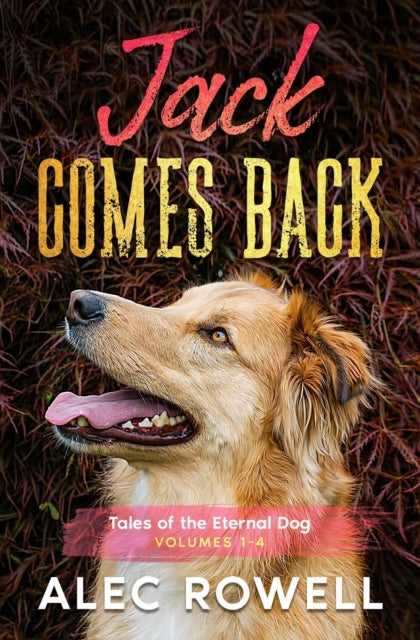 Book cover of: Jack Comes Back. By: Alec Rowell
