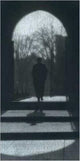 Book cover of: Yale 1900-2001
