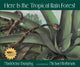 Book cover of: Here Is the Tropical Rain Forest. By: Madeleine Dunphy