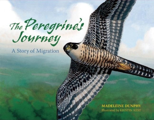 Book cover of: Peregrine's Journey. By: Madeleine Dunphy