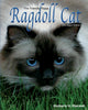 Book cover of: Friendly Floppy Ragdoll Cat. By: Kimberly H Maxwell